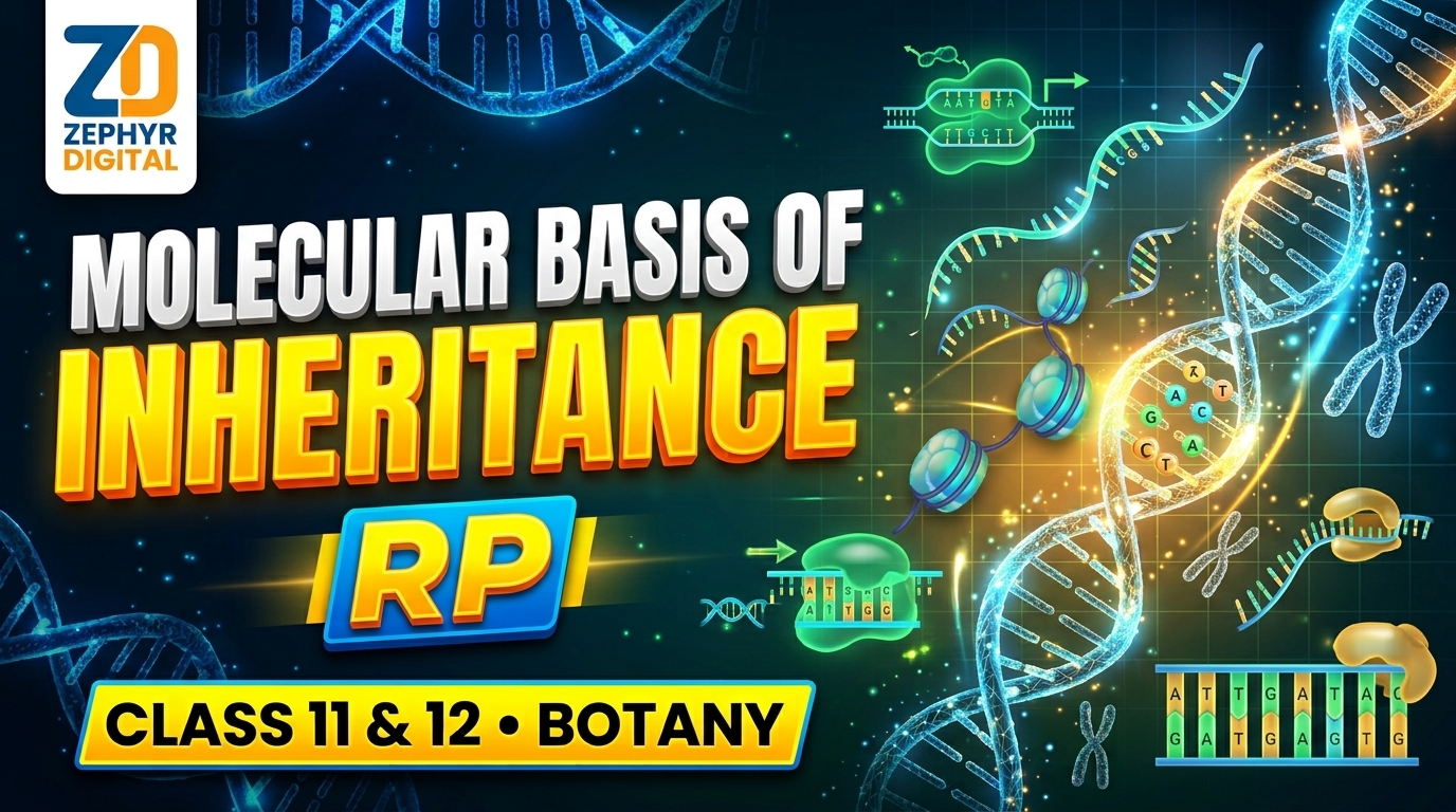 MOLECULAR BASIS OF 
INHERITANCE RP