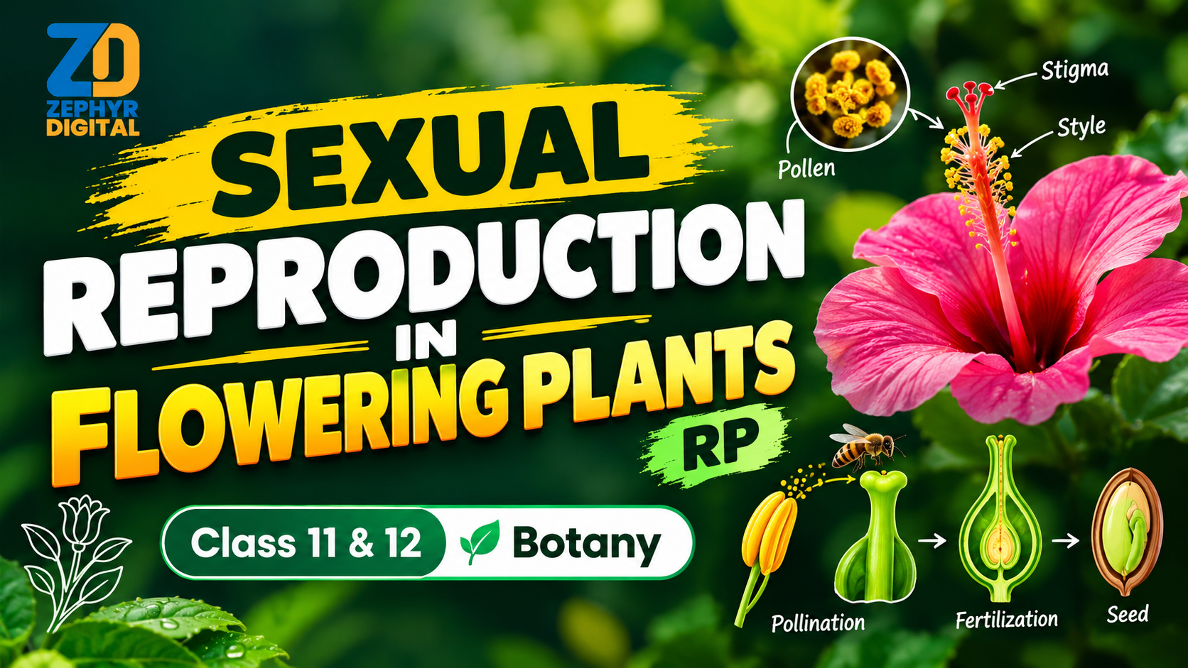 SEXUAL RPRODUCTION IN FLOWERING PLANTS RP